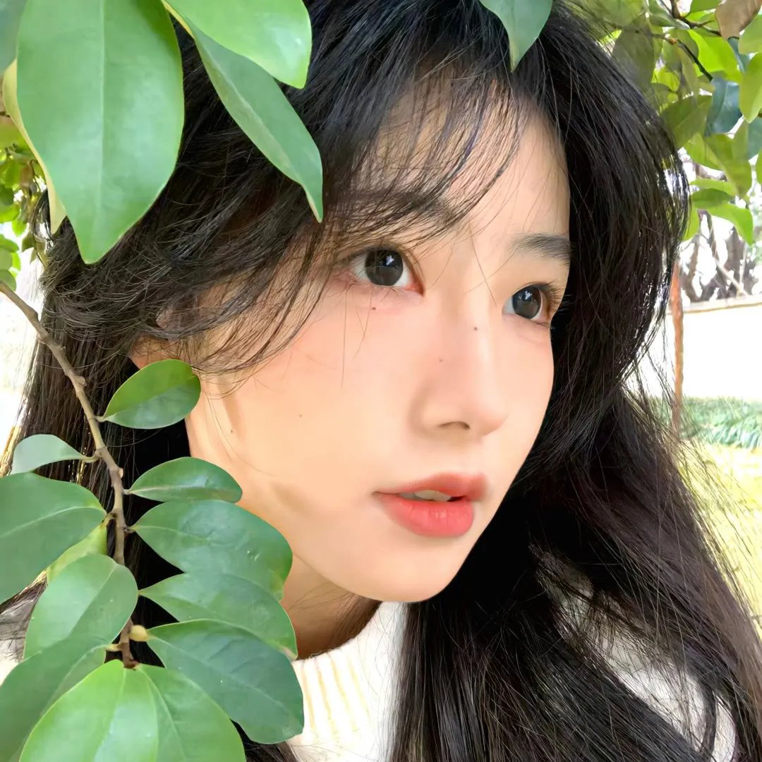 暴力之音